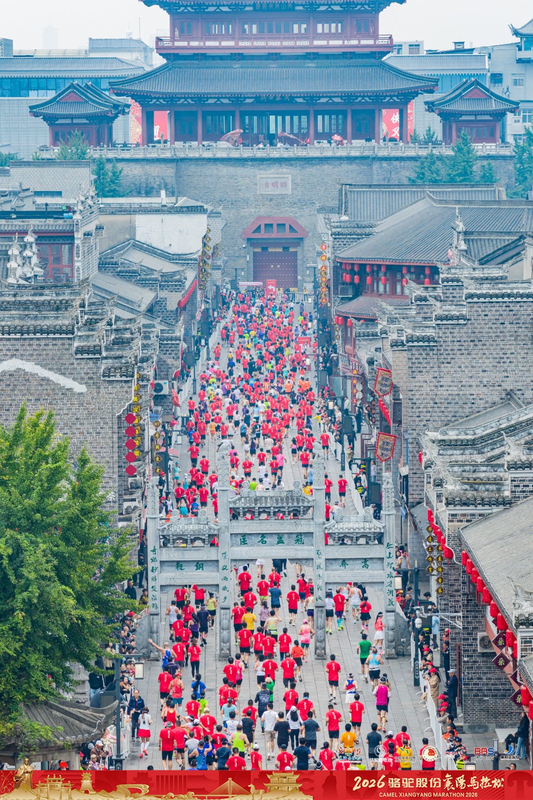 微信图片_20261025213151_51_8.jpg